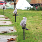 اضاءة البومة